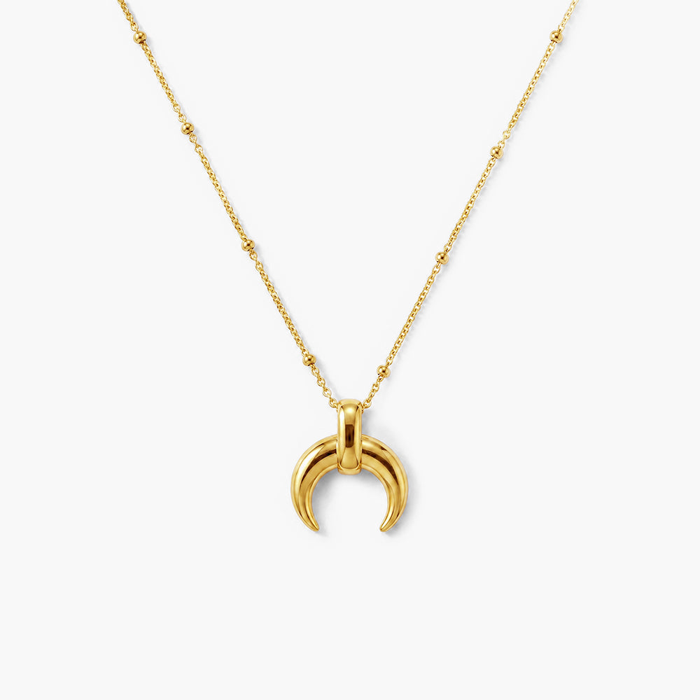 Tiny Horn Necklace